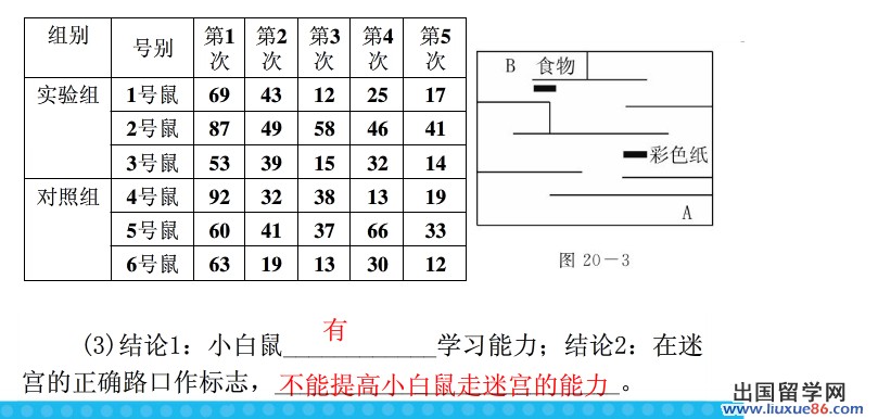 同学们复习《探究小鼠走迷宫取食的学习行为》时要注意重难点:动物的