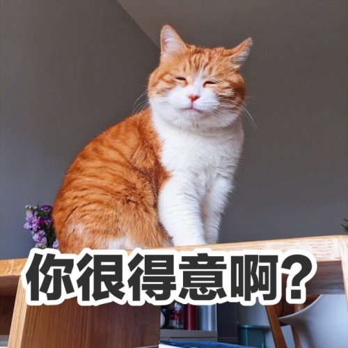 橘猫表情包