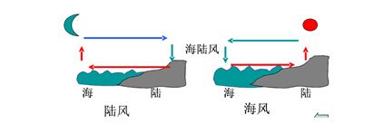 具体体现—海陆风 热力环流在生活中具体体现非常多,比如海陆风