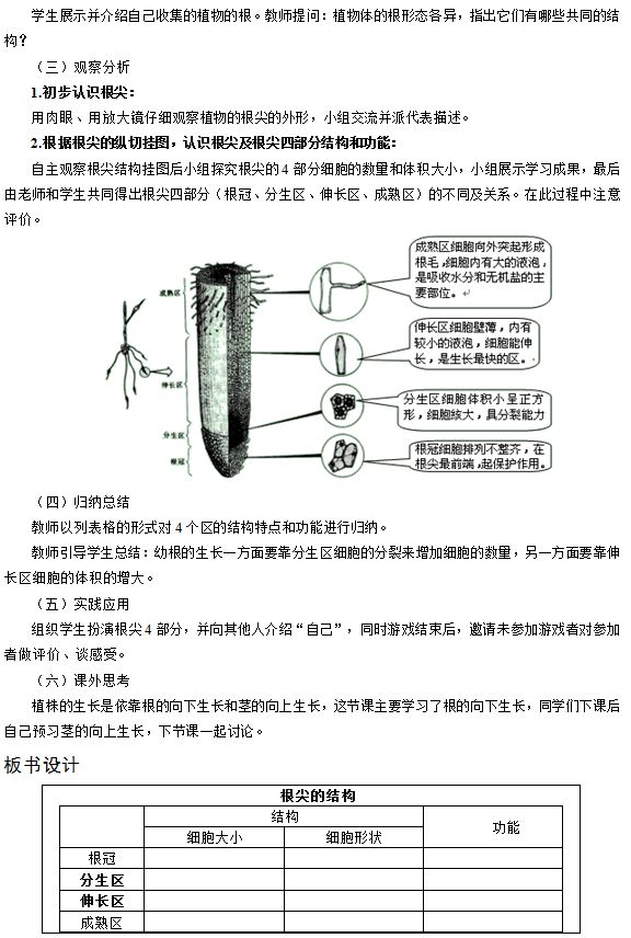 2017上半年初中生物教师面试真题《幼根的生长》