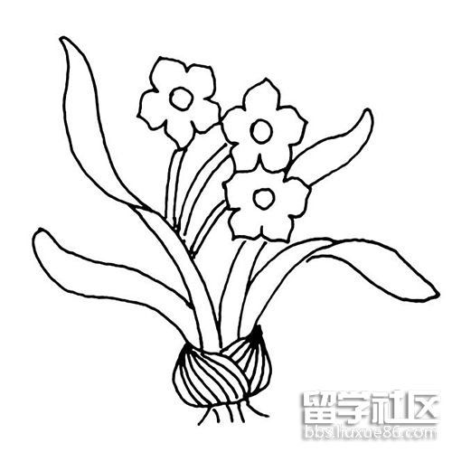 花的简笔画——水仙花