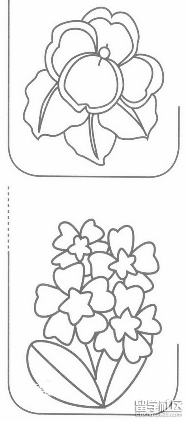 花的简笔画——报春花