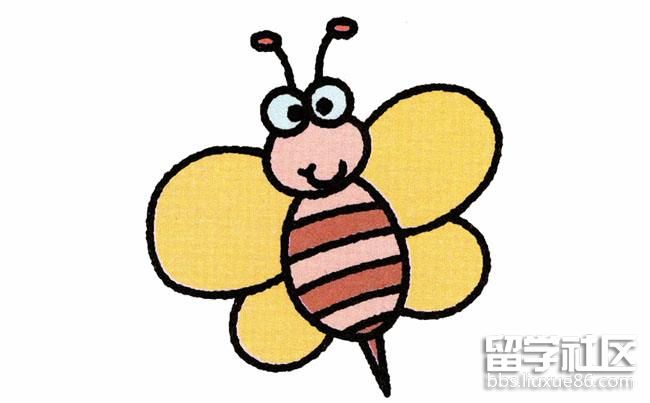 蜜蜂简笔画怎么画