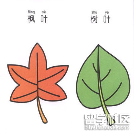 儿童树叶简笔画图片大全