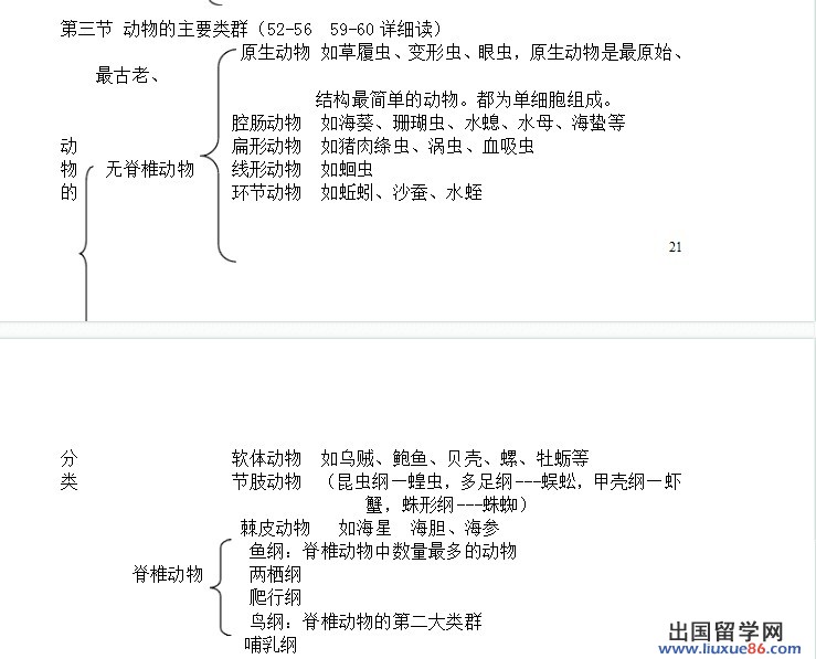 生物动物类群思维导图图片